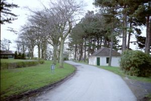 PICT0087.JPG