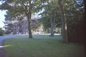 PICT0194.JPG
