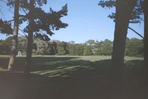 PICT0195.JPG