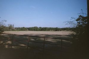 PICT0196.JPG