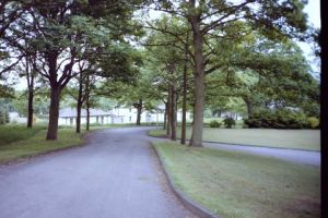 PICT0201.JPG