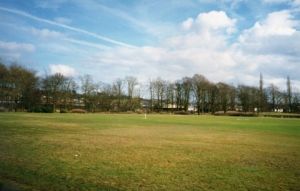 img049.jpg