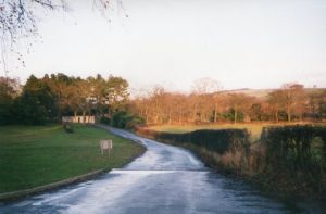 img114.jpg