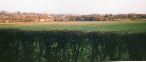 img117.jpg