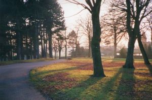 img119.jpg