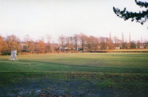 img127.jpg