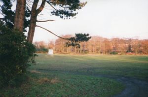 img128.jpg