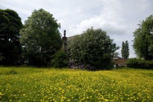 Looking towards the Chapel, June 2008