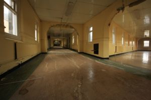 The Double Aspect Corridor