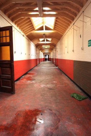 The Kitchen, Red Ballroom Corridor 2008