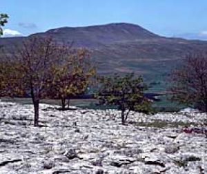 Whernside Ingleborough