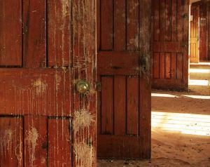 Asylum Solid Wood Doors Wide Open