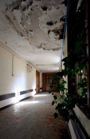 Mid Wales Hospital Corridor with Creeping Ivy