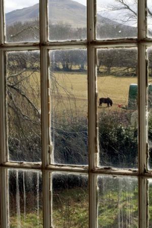 Mid Wales Hospital February 2008 Window with View