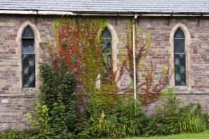 Side elevation, October 2007, Chapel Windows