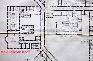 Male Epileptic Block.