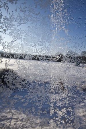 Jack frost, looking out from the Official Block