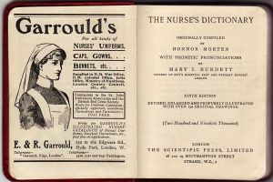 The Nurses Dictionary