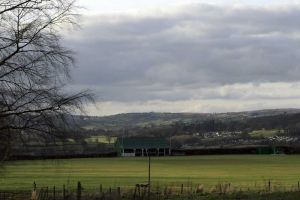 Asylum Cricket Ground