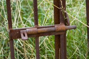 Asylum Railings - Mid Wales Hospital