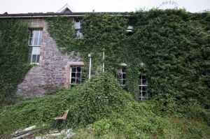 Sandwich Room Exterior and Window