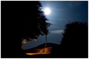 A Moonlight Stroll To The Old Hospital